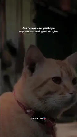 Pusing mikirin ujian