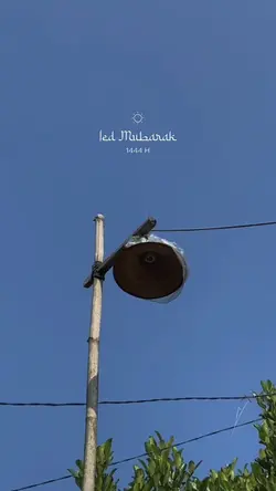 Mini Vlog Lebaran