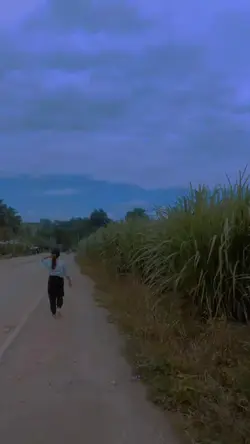 1 video mo 