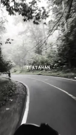 setangkaibungamawar