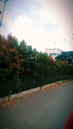 story wa