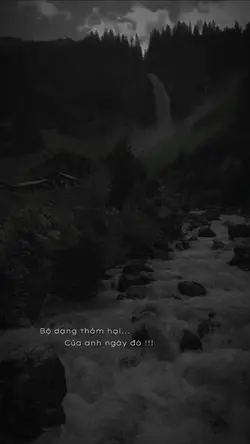 Bộ Dạng Thảm Hại...