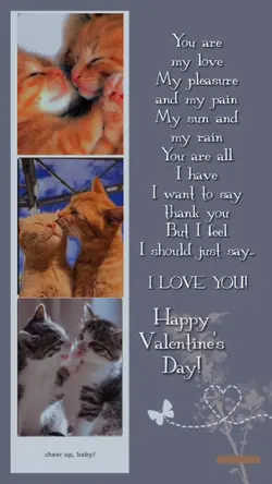 Valentine's message