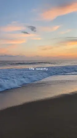 8 Video Dump