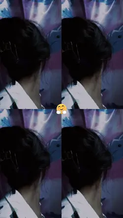 1pic