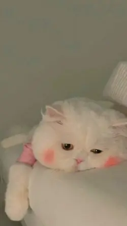 Vòng lặp