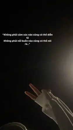 share vd 
