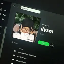 spotify albume ˚୨୧⋆˚