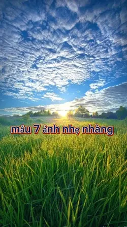 mẫu 7 ảnh nhẹ nhàng 