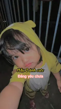Mẫu beat 2 ảnh