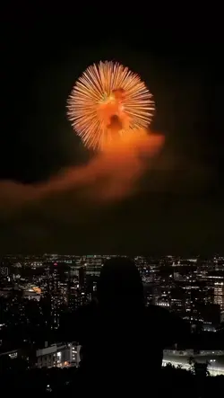 Firework 1 Foto