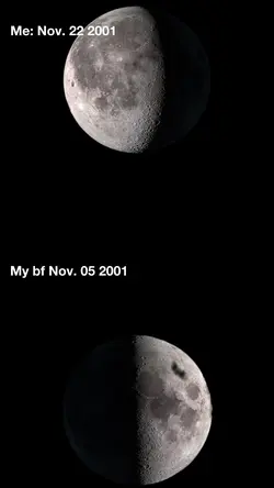 moon trend 