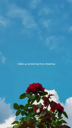 ANTI HERO LYRICS 