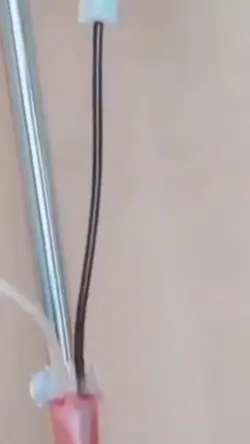 #Prankypurfriends