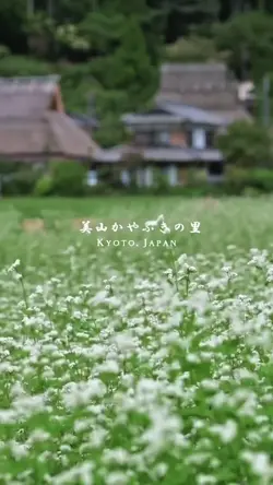 Cinematic japan life