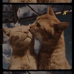 cat lover ka?
