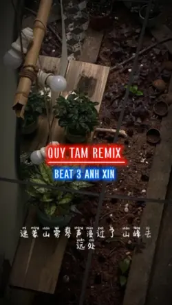 Quy Tầm Remix