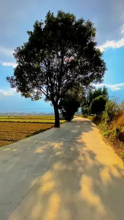 Mini Vlog