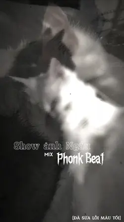 Phonk Beat Cháyy