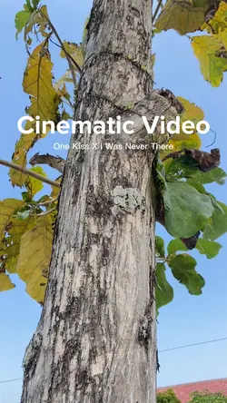 Cinematic Hiling