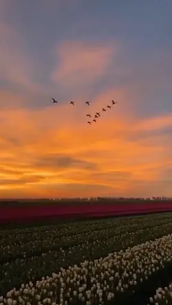 1 vid + 18 foto