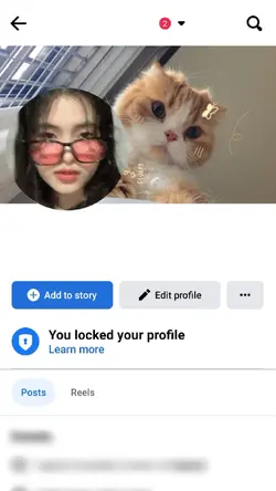 #FbProfile