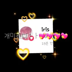 개미춌다