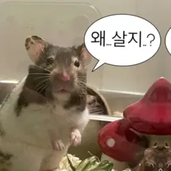좋아하는 사람 초성 적고 튀세요.ᐟ