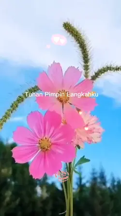 Lagu Rohani kristen