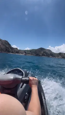 Vlog 