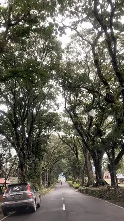 Kenangan terindah