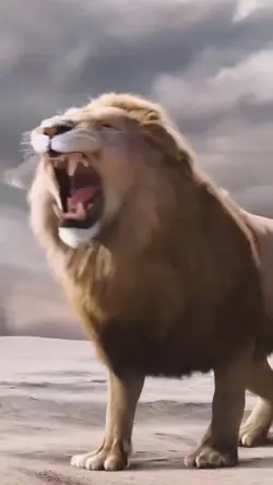 Singa mengaum
