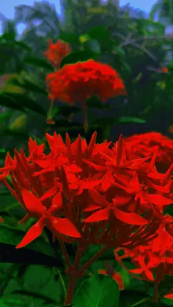 Cinematic