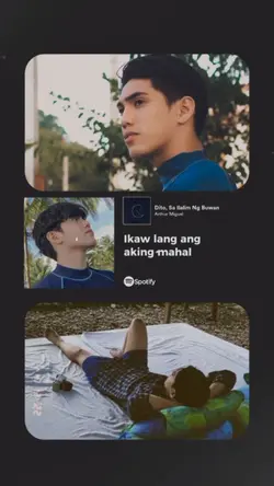 music player trend