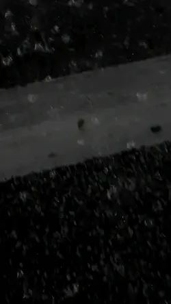 Mẫu Slow Lyric