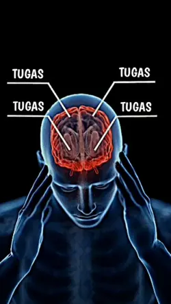 VERSI TUGAS NUMPUK