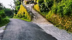 sound tiktok virall 