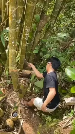 Potong bambu
