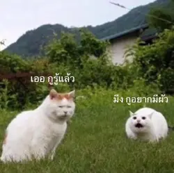 มึงกูอยากมีผัว/2รูป