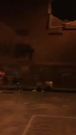 1vid+7foto