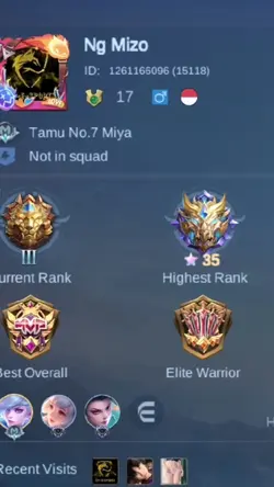 mlbb
