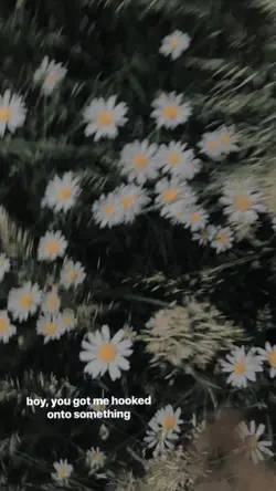 Mẫu Lyrics