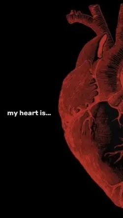 my heart is you