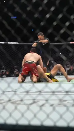 Islam Makhachev UFC