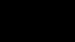 Phonk
