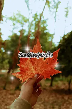 รักแท้ไม่มีอยู่จริง