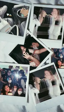 Polaroid
