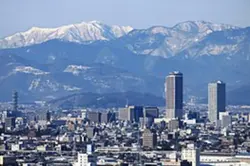ランキング