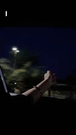rex orange county