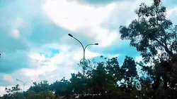slowmo viral